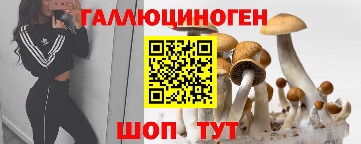 продажа наркотиков  Галлюциногенные грибы GOLDEN TEACHER  Вход с VPN  Удомля 